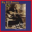 Album cover art for the aim release Big Bill Blues by Big Bill Broonzy